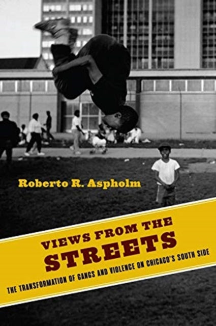 Book cover of: Views from the Streets. By: Roberto Aspholm