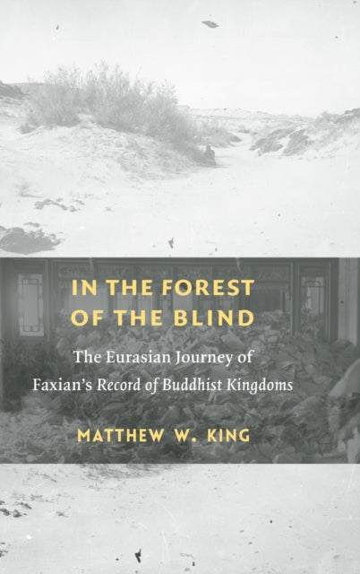 Book cover of: In the Forest of the Blind. By: Matthew W. King