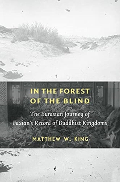 Book cover of: In the Forest of the Blind. By: Matthew W. King