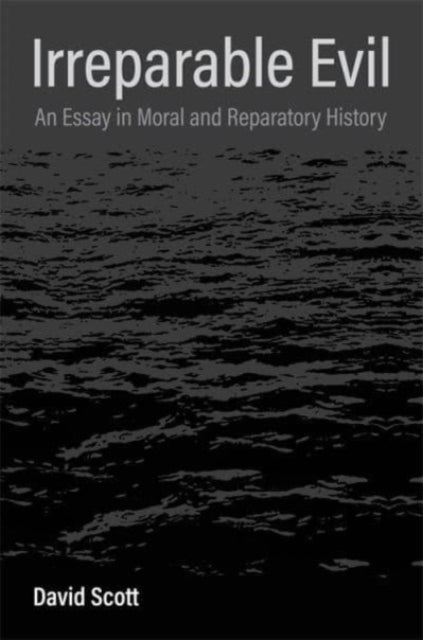 Book cover of: Irreparable Evil. By: David Scott