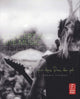 Book cover of: Concert and Live Music Photography