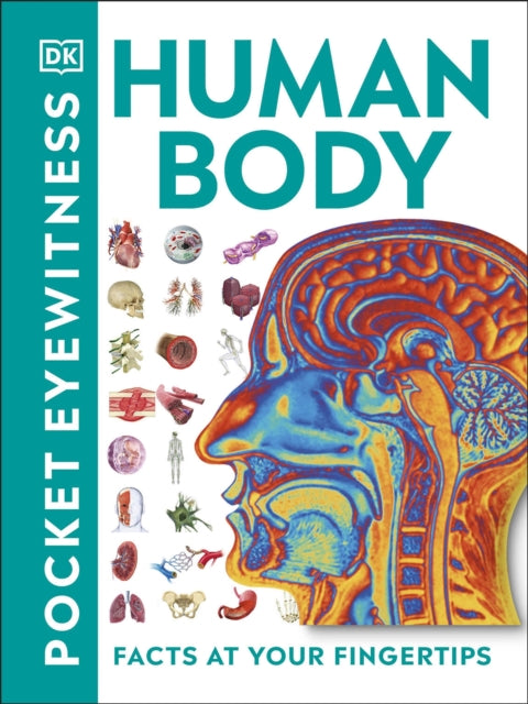 Book cover of: Pocket Eyewitness Human Body. By: DK Publishing