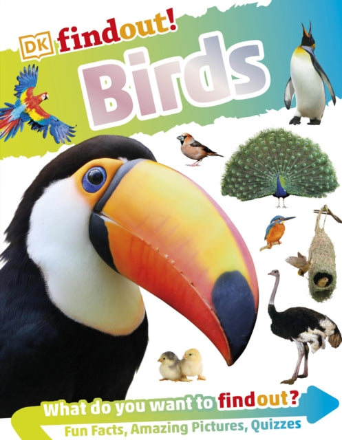 Book cover of: DKfindout! Birds. By: DK Publishing