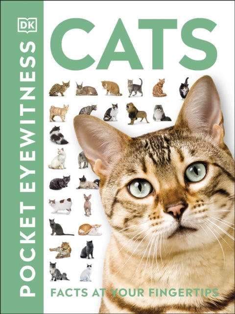 Cats, Facts at Your Fingertips 9780241413012 DK Publishing