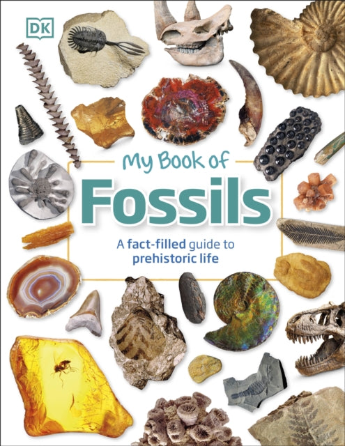 My Book of Fossils, A fact-filled guide to prehistoric life 9780241533369 DK Publishing