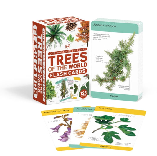 Book cover of: Our World in Pictures Trees of the World Flash Cards