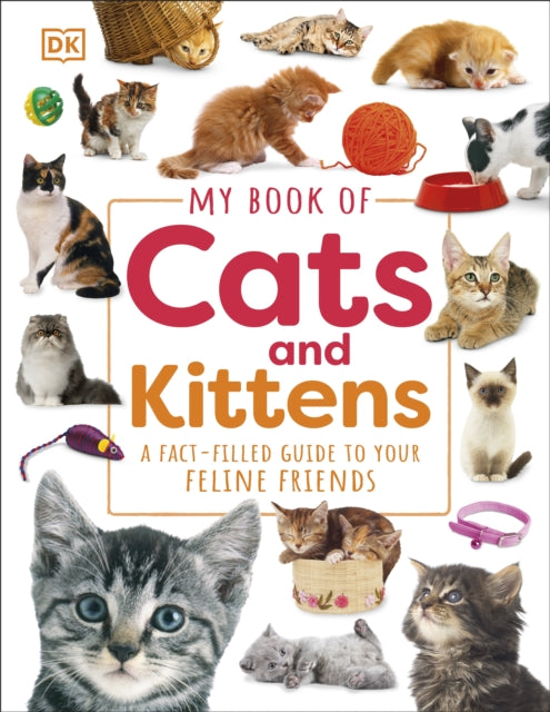 My Book of Cats and Kittens, A Fact-Filled Guide to Your Feline Friends 9780241598313 DK Publishing