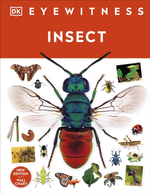 Book cover of: Insect