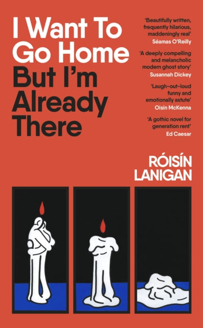 Book cover of: I Want To Go Home But I'm Already There. By: Róisín Lanigan