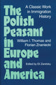 Book cover of: Polish Peasant in Europe and America