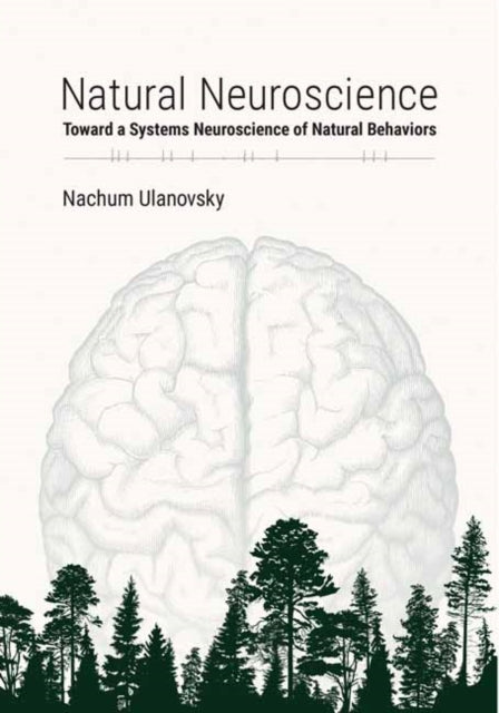 Book cover of: Natural Neuroscience. By: Nachum Ulanovsky
