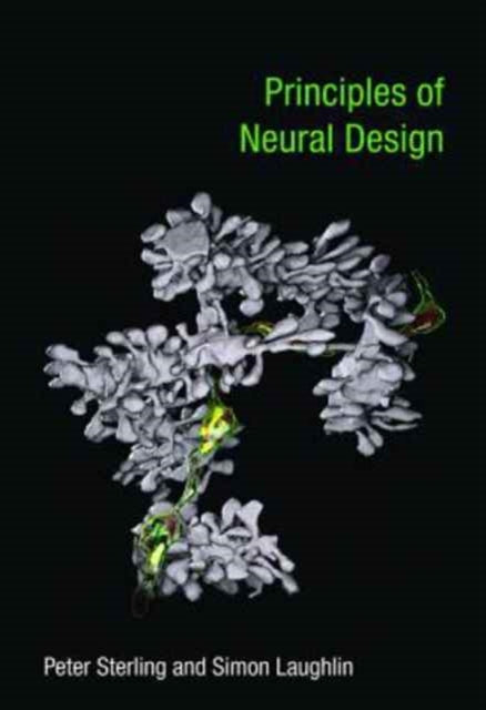 Book cover of: Principles of Neural Design. By: Peter Sterling