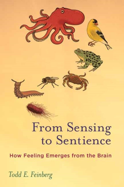 Book cover of: From Sensing to Sentience. By: Todd E. Feinberg