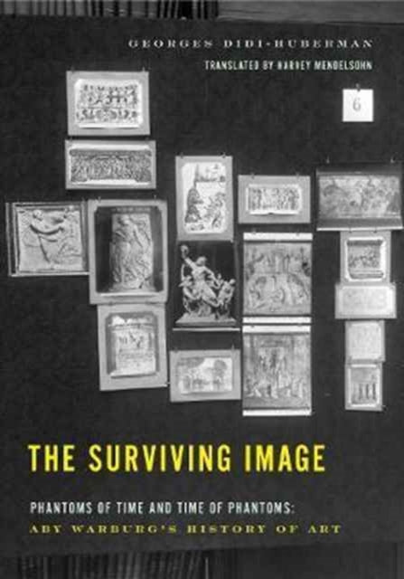 Book cover of: Surviving Image. By: Georges Didi-Huberman