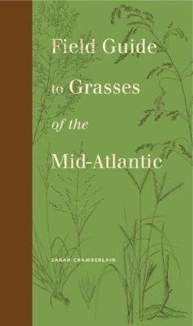 Book cover of: Field Guide to Grasses of the Mid-Atlantic. By: Sarah Chamberlain