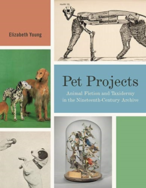 Book cover of: Pet Projects
