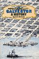 Book cover of: Galveston
