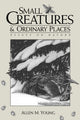 Small Creatures and Ordinary Places