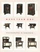 Book cover of: More than One