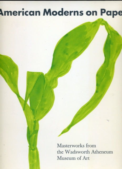 Book cover of: American Moderns on Paper. By: Elizabeth Mankin Kornhauser