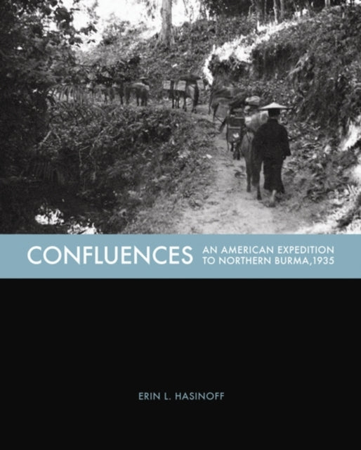 Book cover of: Confluences. By: Erin L. Hasinoff