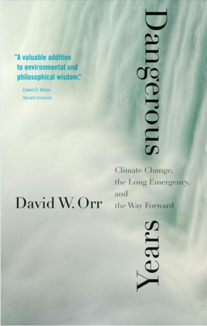 Book cover of: Dangerous Years. By: David W. Orr