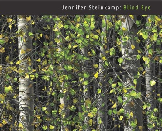 Book cover of: Jennifer Steinkamp. By: Lisa Saltzman