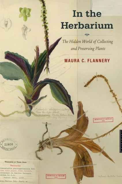 Book cover of: In the Herbarium. By: Maura C. Flannery