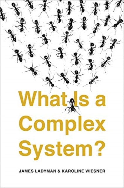 Book cover of: What Is a Complex System?. By: J. Ladyman