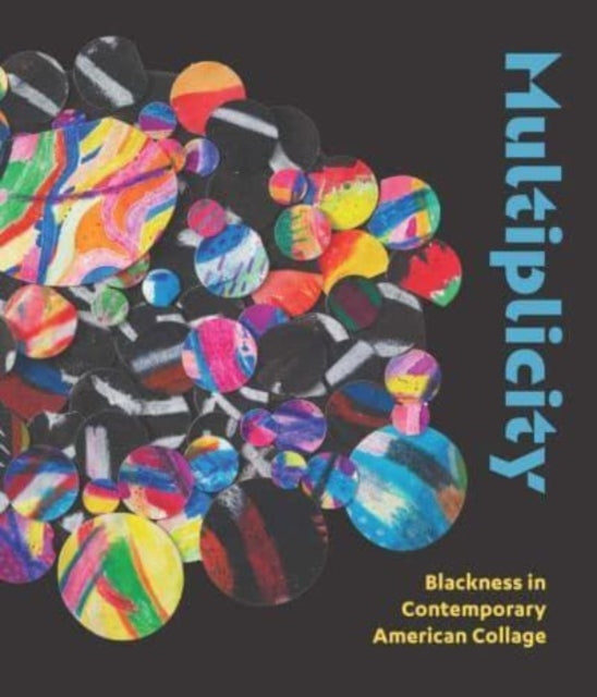 Book cover of: Multiplicity. By: Kathryn E. Delmez
