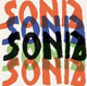 Book cover of: Sonia Delaunay. By: Waleria Dorogova