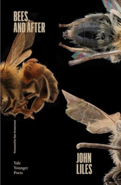 Bees, and After 9780300279429 John Liles