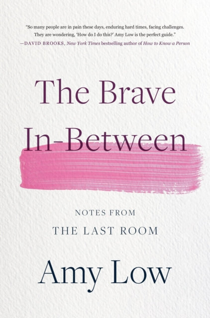 Book cover of: The Brave In-Between. By: Amy Low