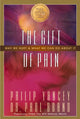 Book cover of: Gift of Pain