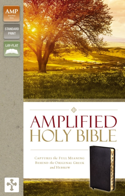 Book cover of: Amplified Holy Bible, Bonded Leather, Black, Thumb Indexed