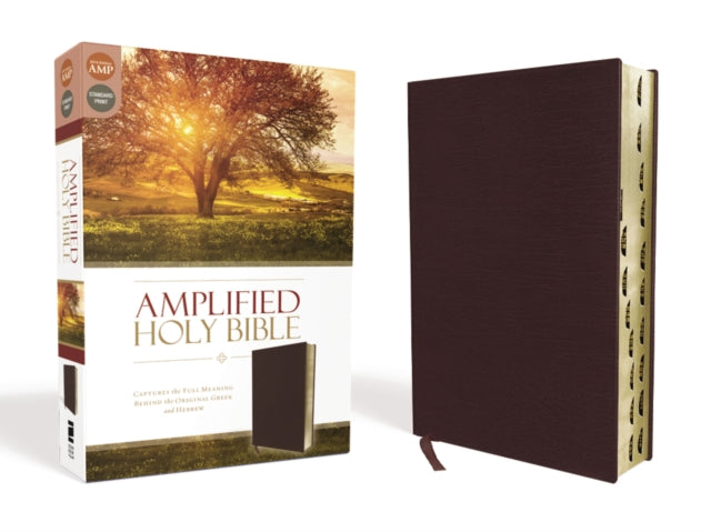 Book cover of: Amplified Holy Bible, Bonded Leather, Burgundy, Thumb Indexed