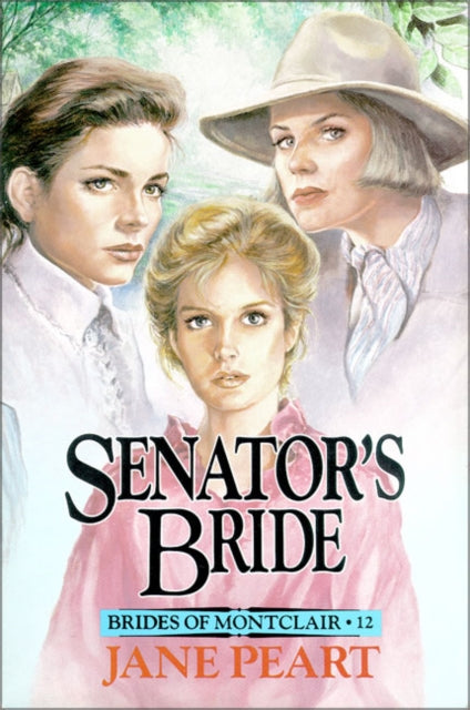 Book cover of: Senator's Bride