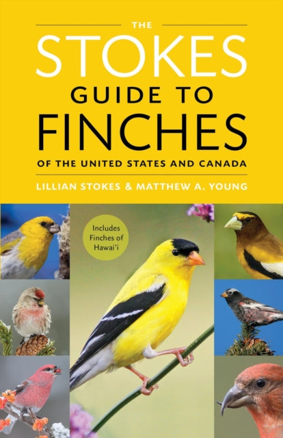 Book cover of: The Stokes Guide to Finches of the United States and Canada. By: Lillian Q. Stokes