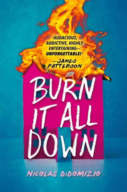 Book cover of: Burn It All Down. By: Nicolas DiDomizio