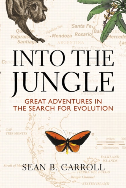 Book cover of: Into The Jungle
