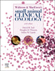 Book cover of: Withrow and MacEwen's Small Animal Clinical Oncology. By: David M. Vail