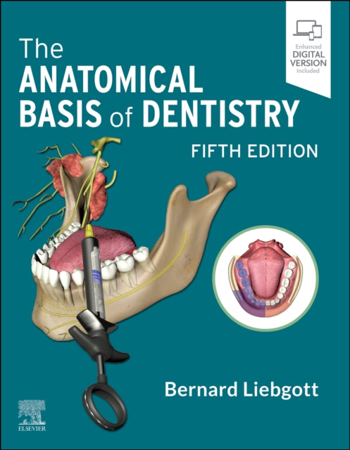 Book cover of: Anatomical Basis of Dentistry. By: Bernard Liebgott