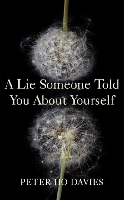 Book cover of: Lie Someone Told You About Yourself. By: Peter Ho Davies