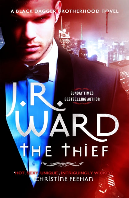 Book cover of: Thief