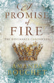 Book cover of: Promise of Fire. By: Amanda Bouchet