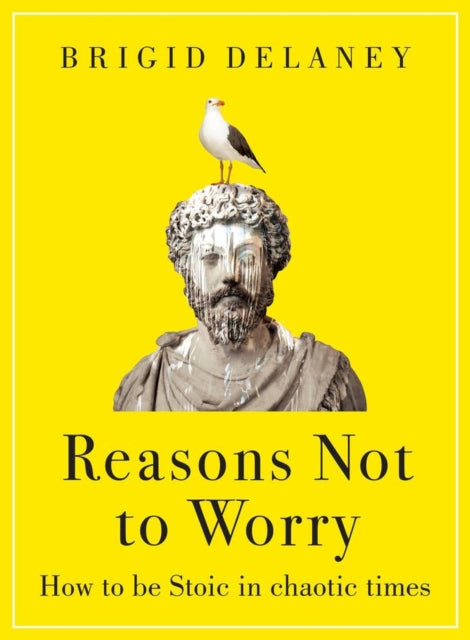 Book cover of: Reasons Not to Worry. By: Brigid Delaney
