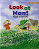 Book cover of: ROYO READERS LEVEL A LOOK AT N AN