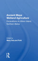 Book cover of: Ancient Maya Wetland Agriculture. By: Mary Pohl
