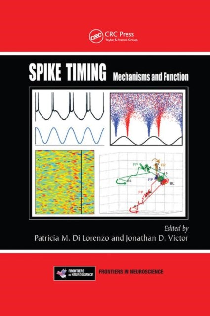 Book cover of: Spike Timing. By: Patricia M. DiLorenzo
