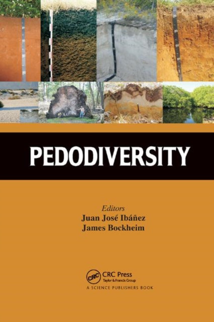 Book cover of: Pedodiversity. By: Juan José Ibáñez